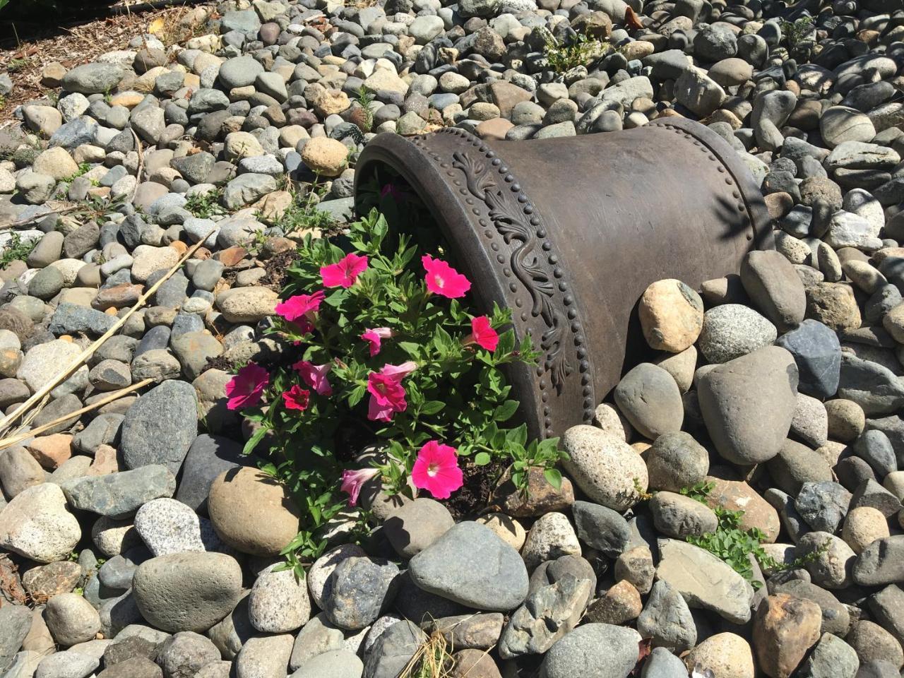 Ashling Cottage Qualicum Beach Eksteriør bilde